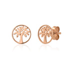 Silver earrings