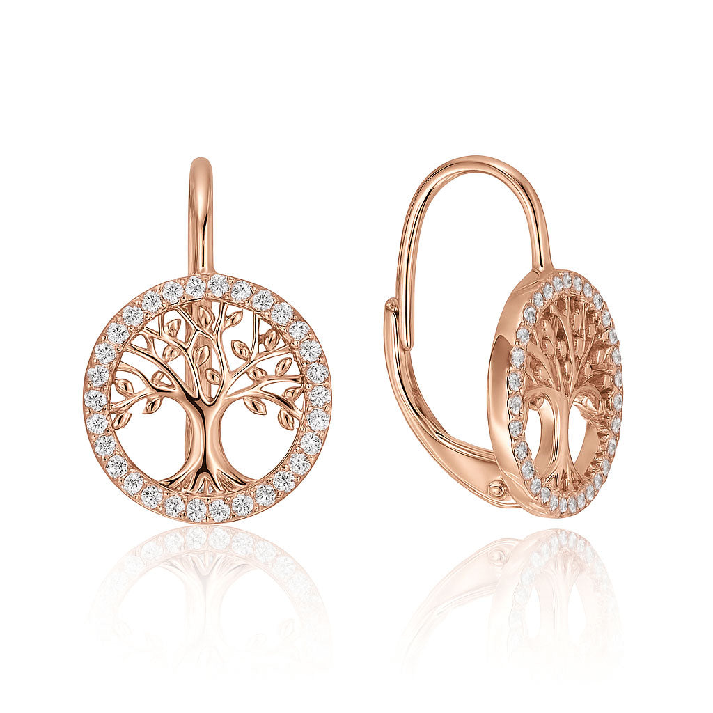 Silver earrings