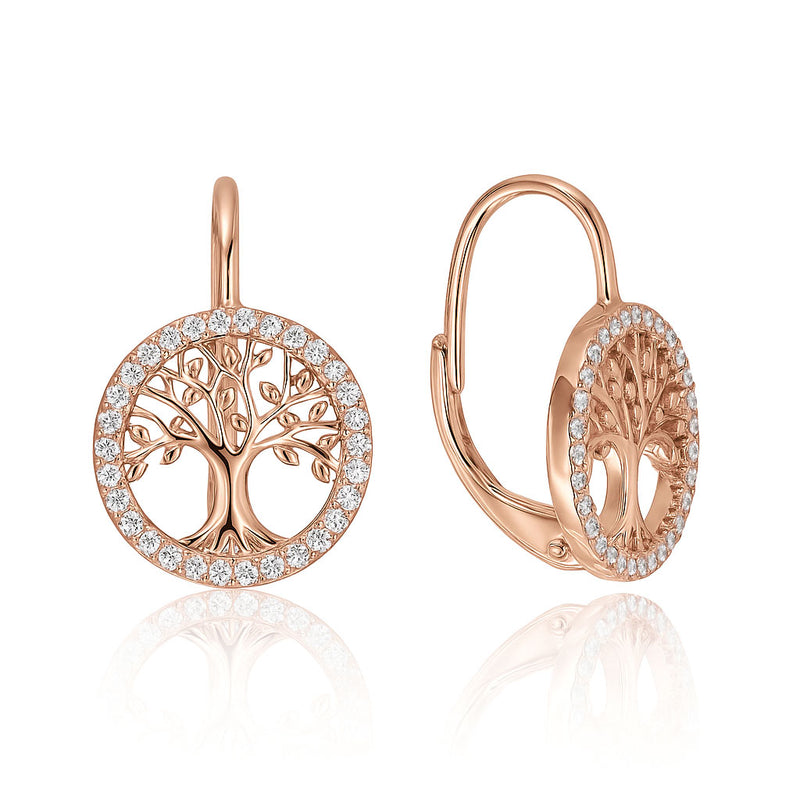 Silver earrings