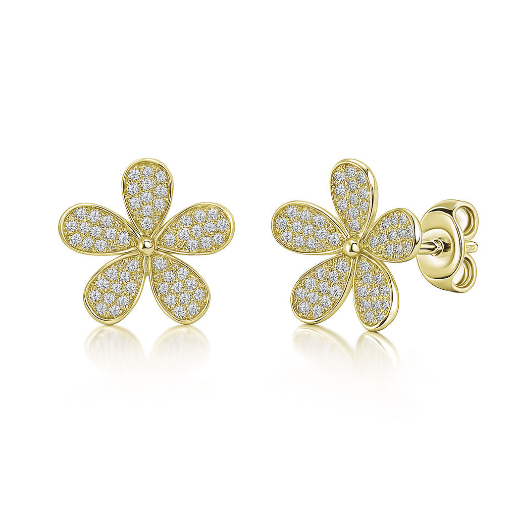 Silver earrings