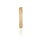 Gold earrings