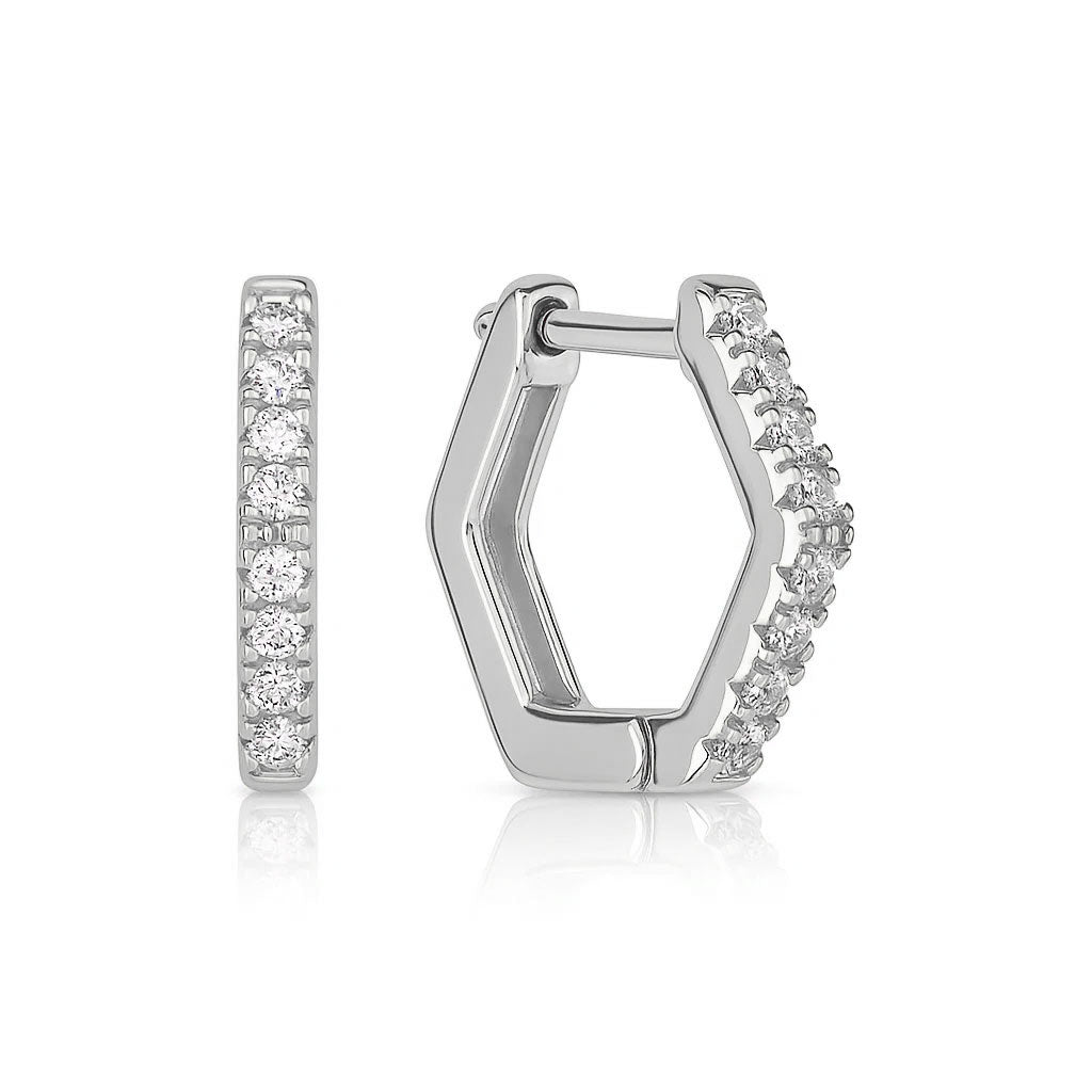 Silver earrings