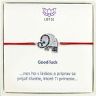 Silver bracelet Good luck