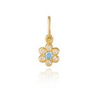 Gold earrings