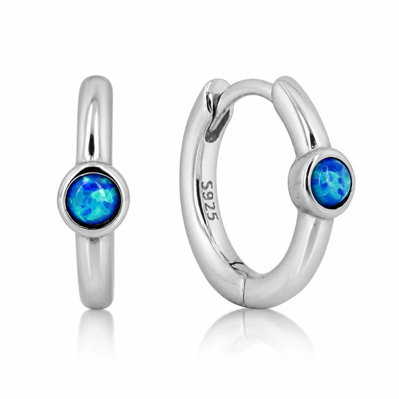 Silver earrings