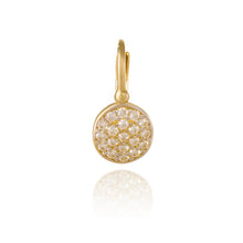 Gold earrings