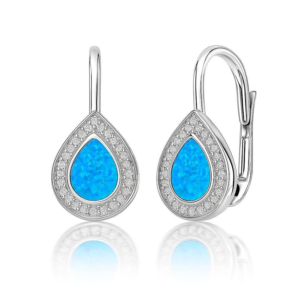 Silver earrings