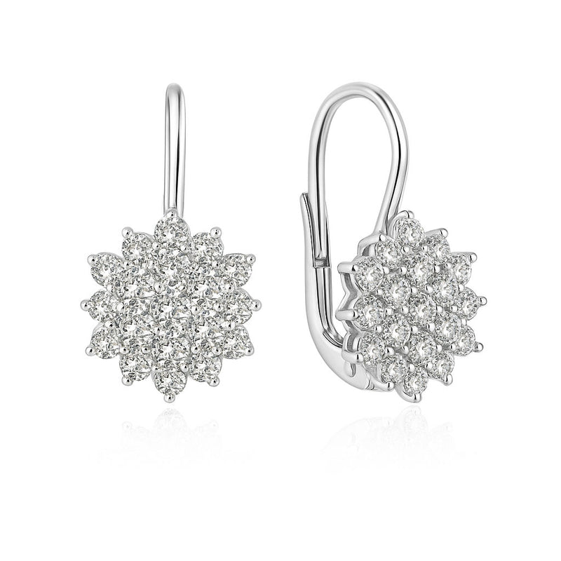 Silver earrings