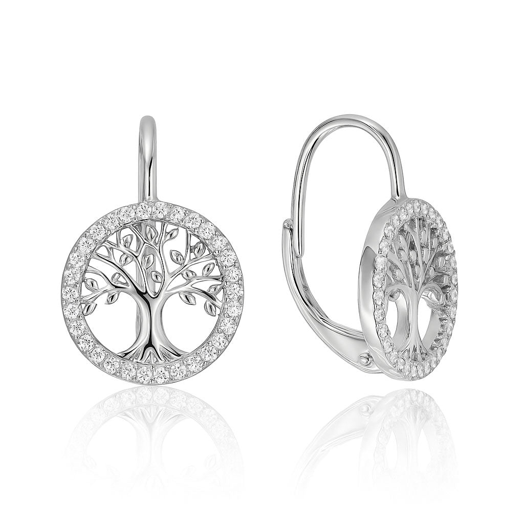 Silver earrings