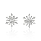Silver earrings