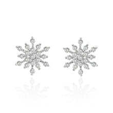 Silver earrings