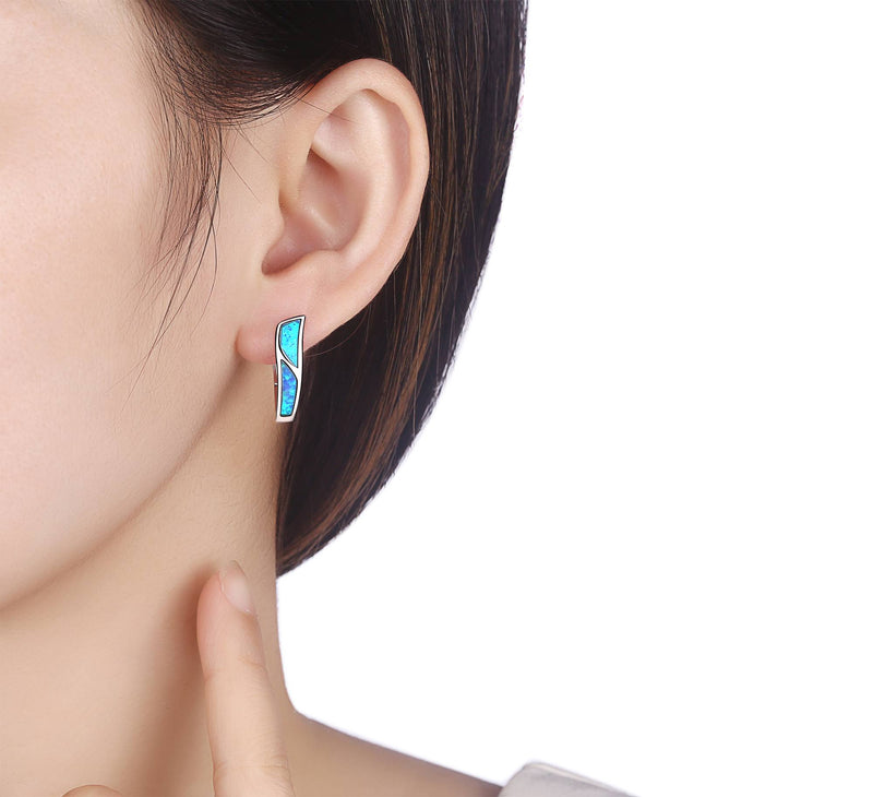 Silver earrings