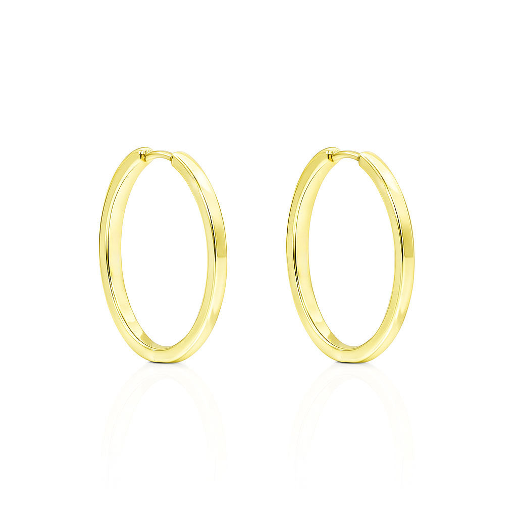 Silver earrings