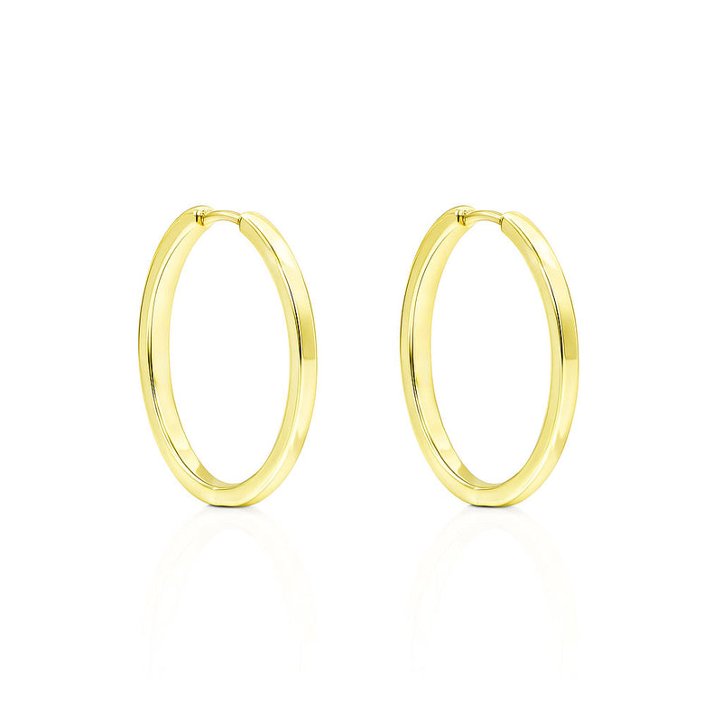 Silver earrings