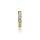 Gold hoop earrings