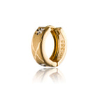 Gold earrings