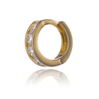 Gold earrings