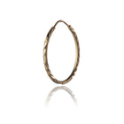 Gold hoop earrings