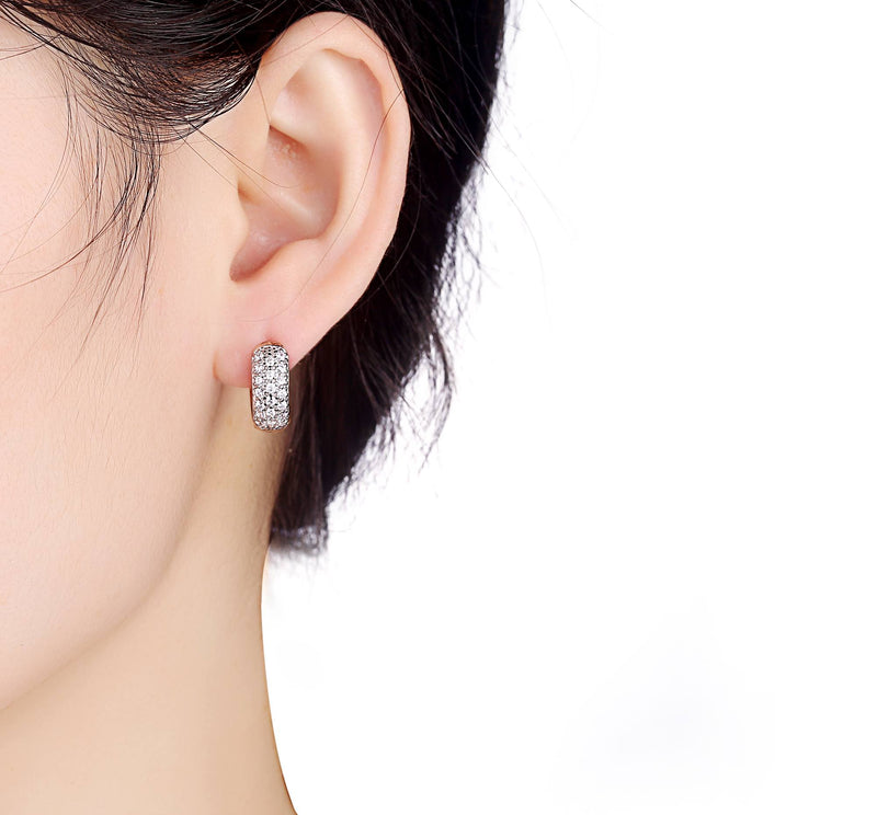Silver earrings