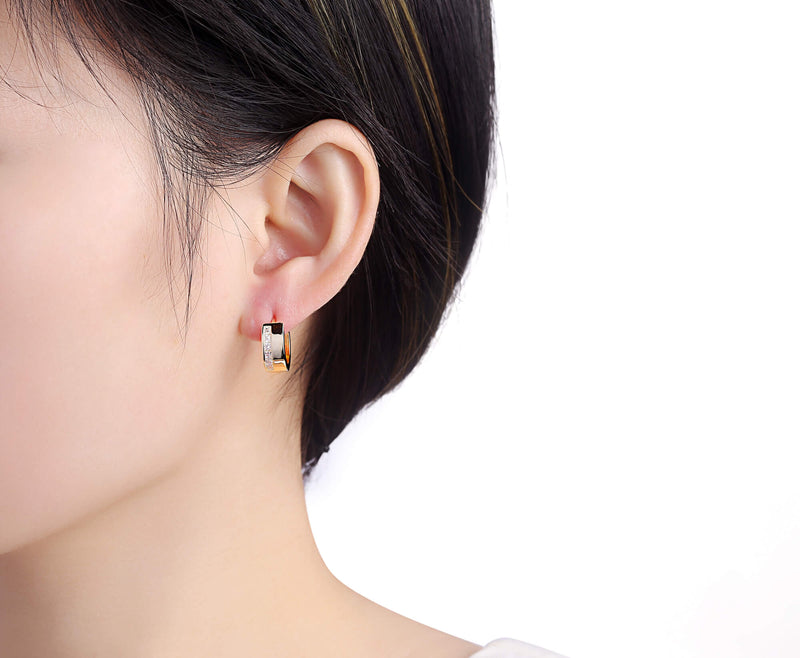 Silver earrings