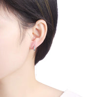 Silver earrings