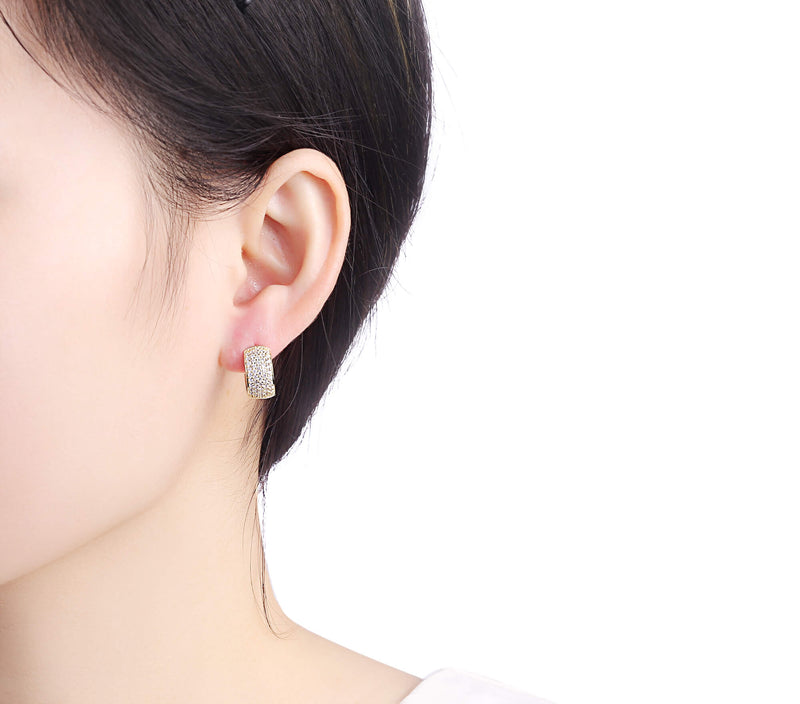 Silver earrings