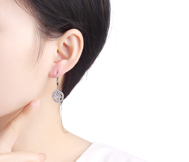 Silver earrings