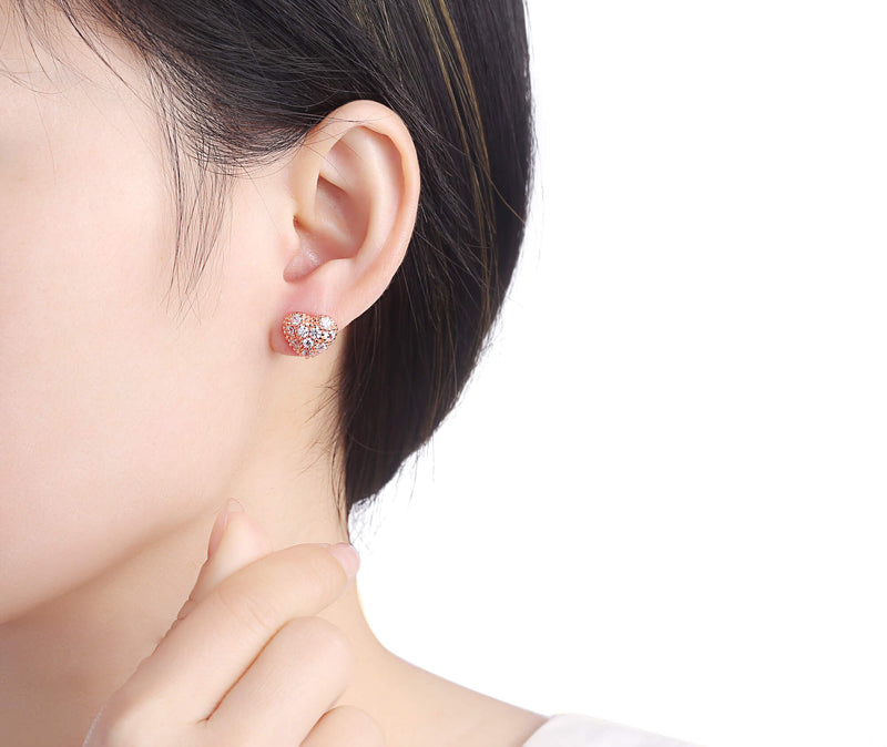 Silver earrings