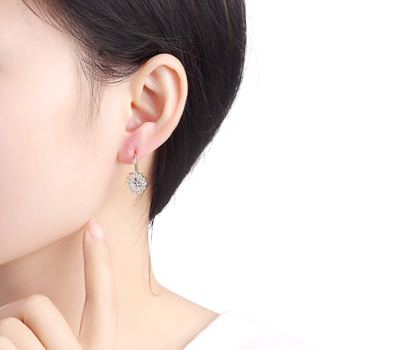 Silver earrings