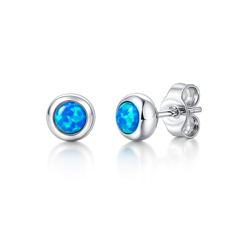 Silver earrings