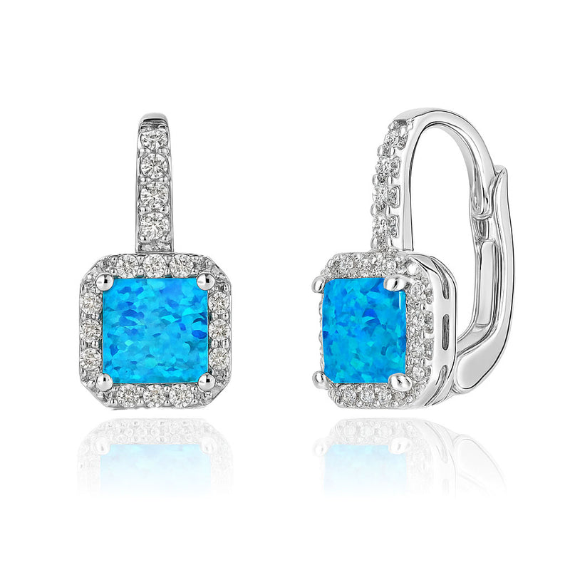 Silver earrings