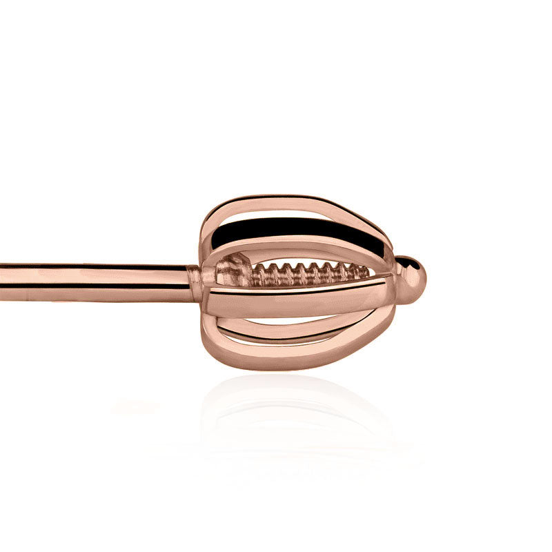 Gold screw earrings