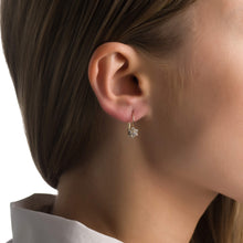 Gold earrings