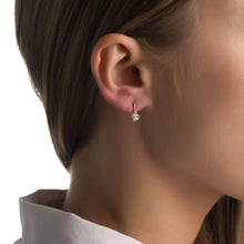Gold earrings
