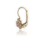 Gold earrings