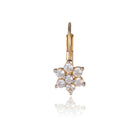 Gold earrings