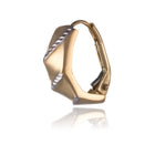 Gold earrings