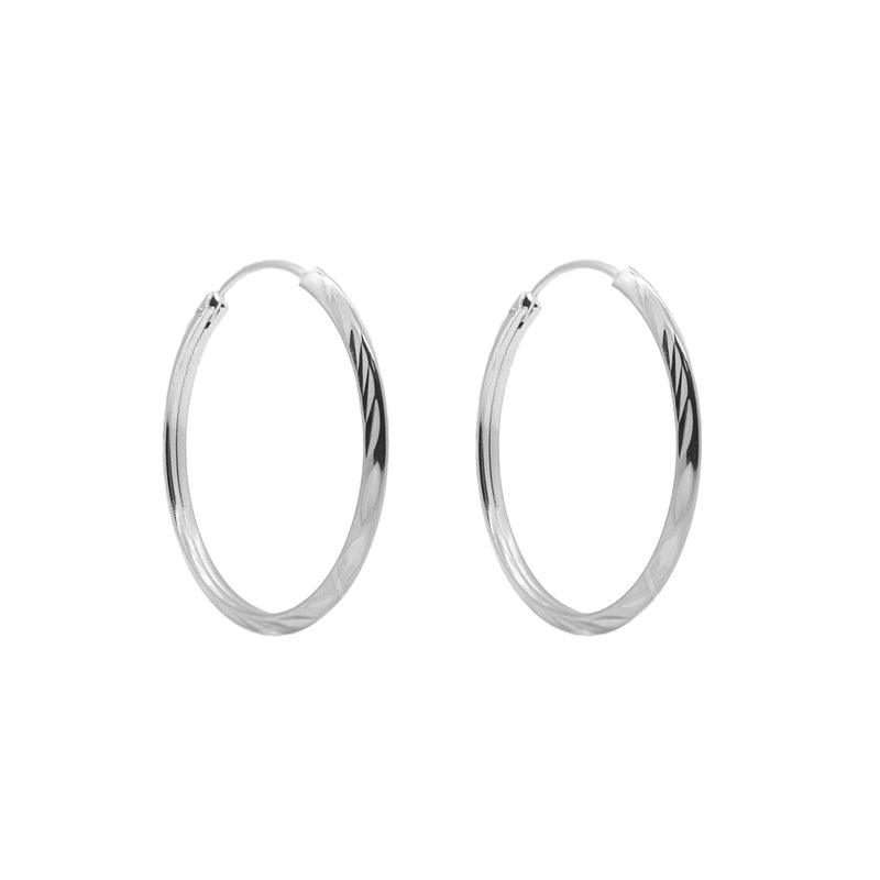 Silver earrings